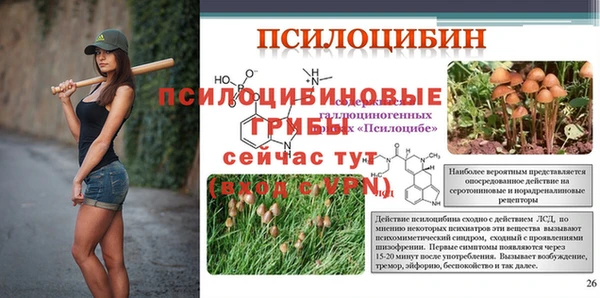 кокаин премиум Белокуриха