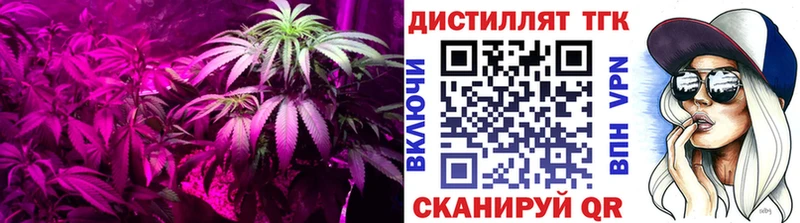 MEGA ССЫЛКА  Кизел  Дистиллят ТГК Wax 
