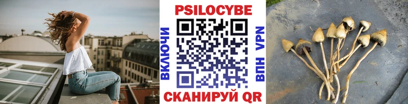Галлюциногенные грибы MAGIC MUSHROOMS  купить закладку  KRAKEN ТОР  Кизел 
